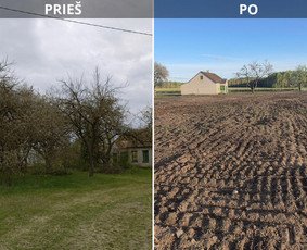 Prieš ir po teritorijos valymo